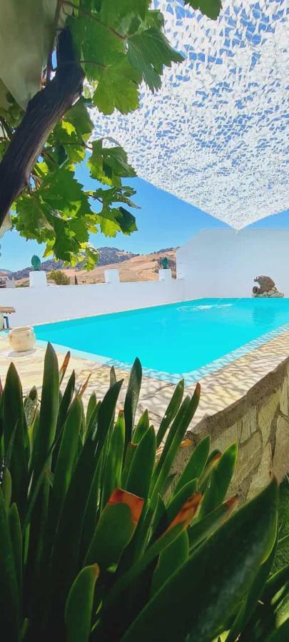 Preciosa Casa De Pueblo Entre Ronda Y Setenil La Posada De Catalina Монтекорто Экстерьер фото